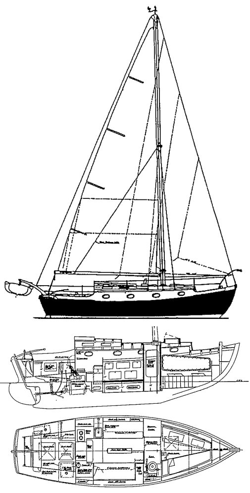 LONE GULL II - Drawing