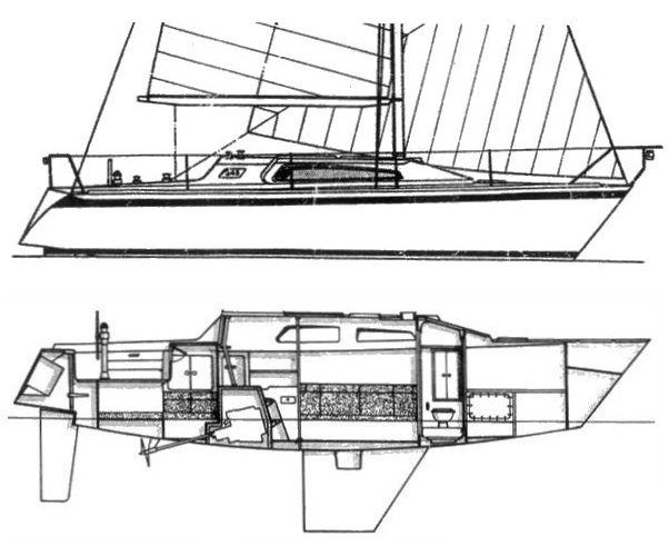 NICHOLSON 345 - Drawing