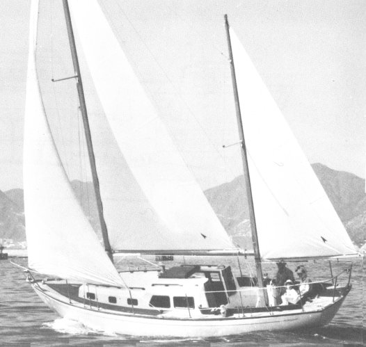 OFFSHORE 31 (CHEOY LEE) - Photo