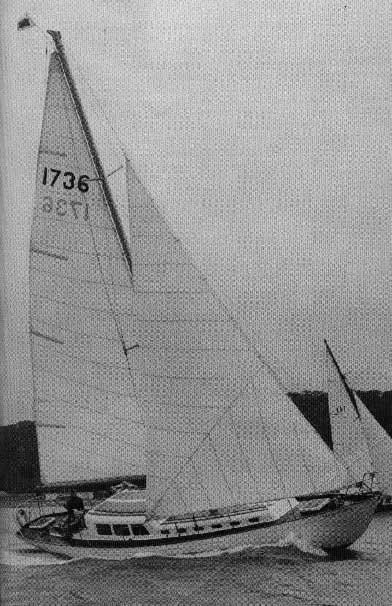 GLASS SLIPPER 50 - Photo