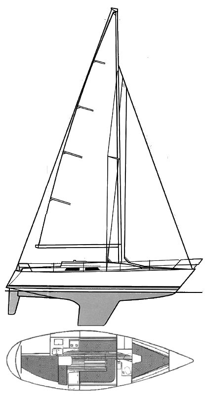 NOVA 33 (ALBIN) - Drawing