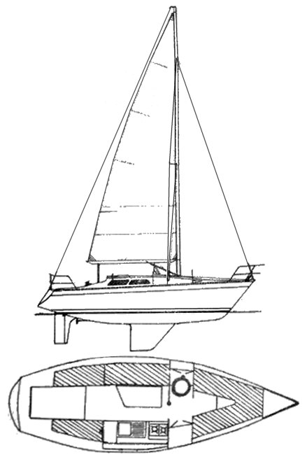 HUTTON 28 - Drawing