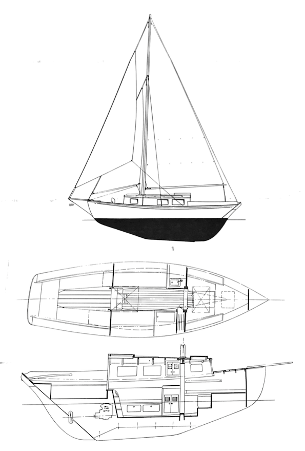 ORIANA - Drawing