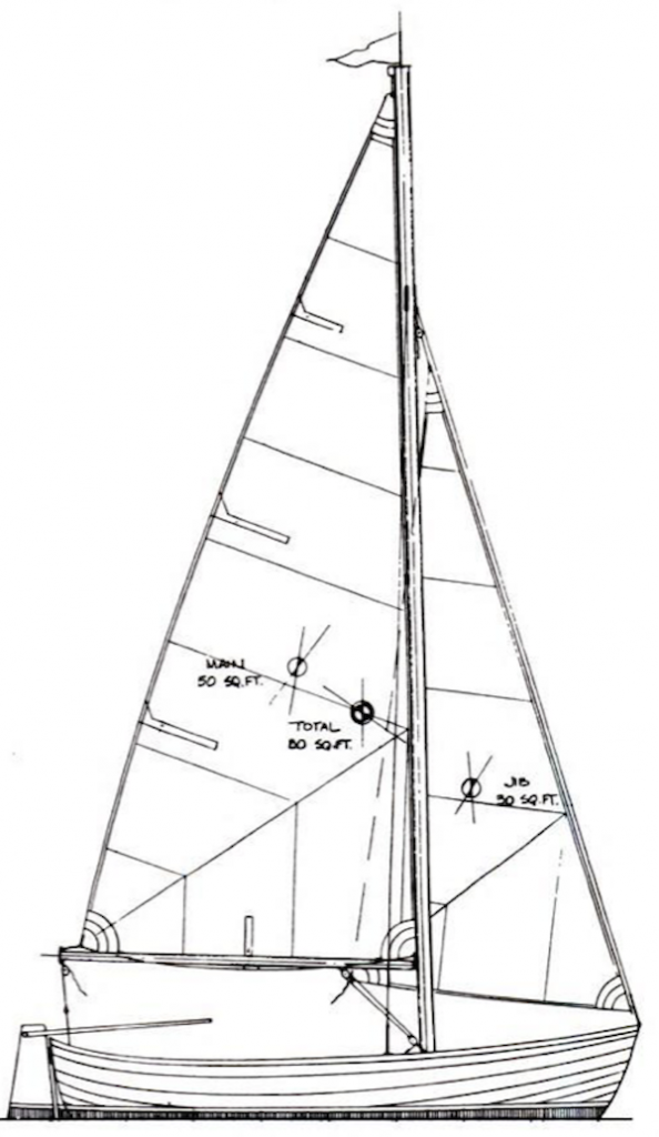OREGON PEAPOD - Drawing