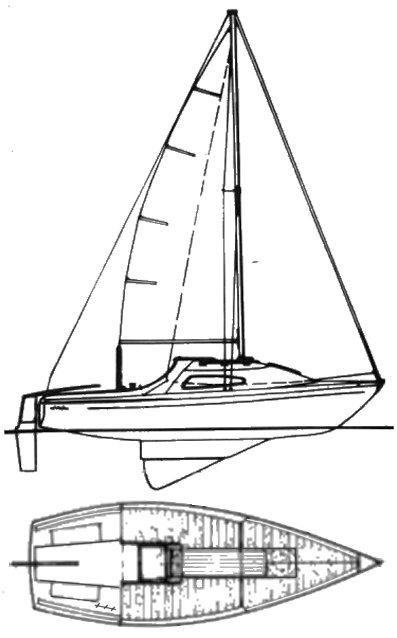 MANTA 19 - Drawing