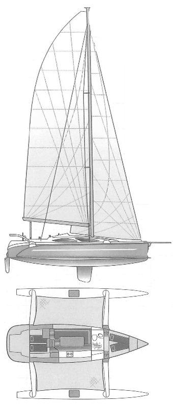DRAGONFLY 35 - Drawing