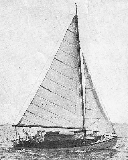 MATTHEWS SAILOR - Photo
