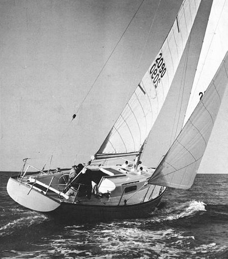 MORGAN 41 - Photo