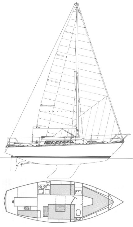 BRIN DE FOLIE (JEANNEAU) - Drawing