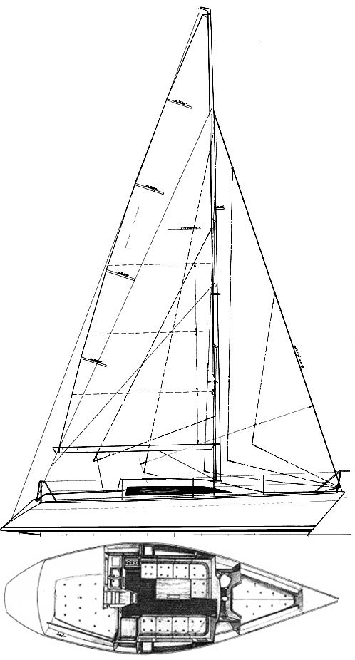 MAESTRO 31 - Drawing