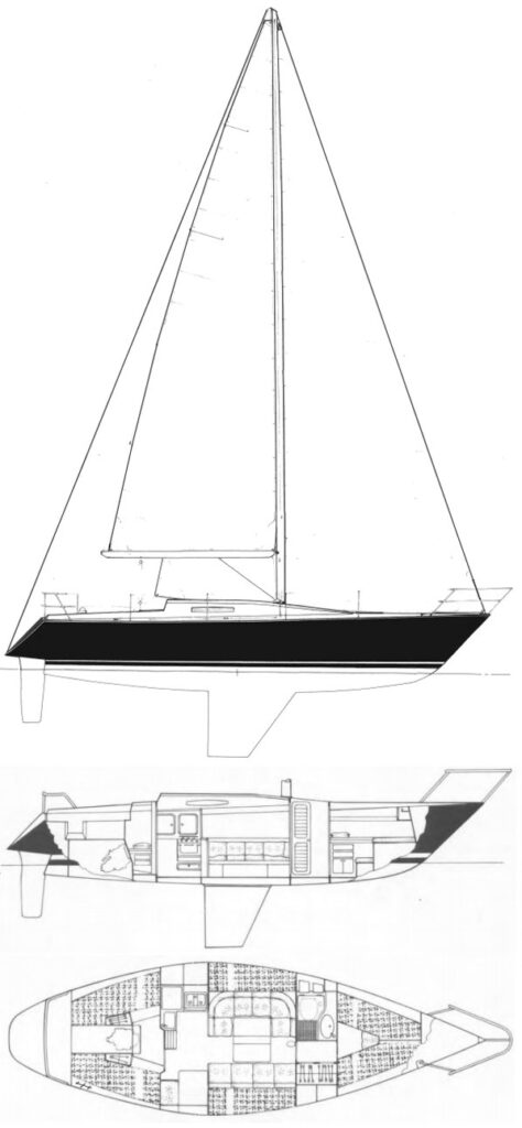 PUPA D36 - Drawing