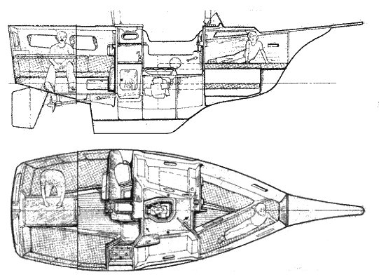 BUCKLER 24 MS - Drawing