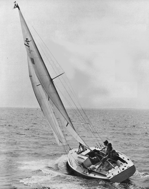 ELECTRA (PEARSON) - Photo