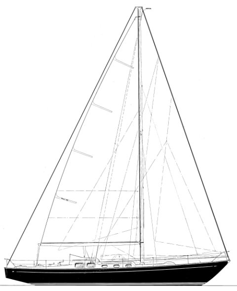 REBEL 41 - Drawing
