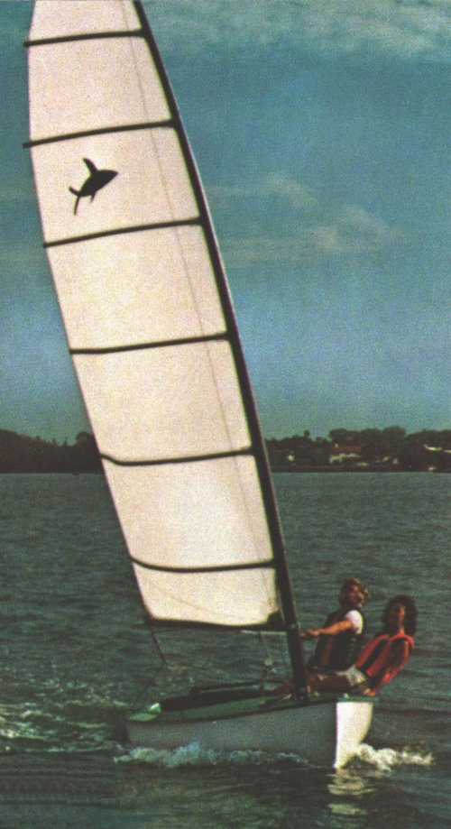 FLYING FISH - Photo