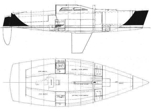 HUMBOLDT 30 - Drawing