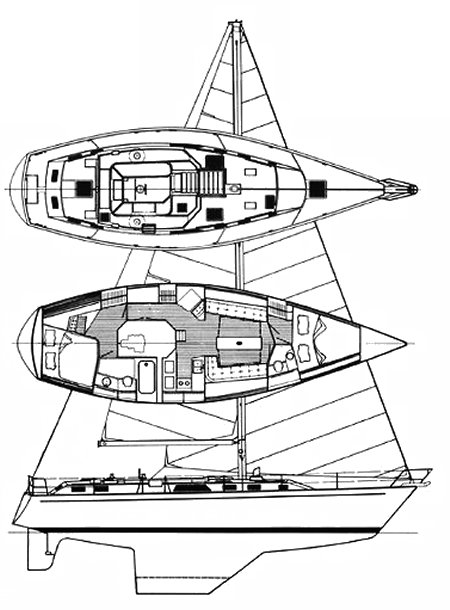 MORGAN 43 - Drawing