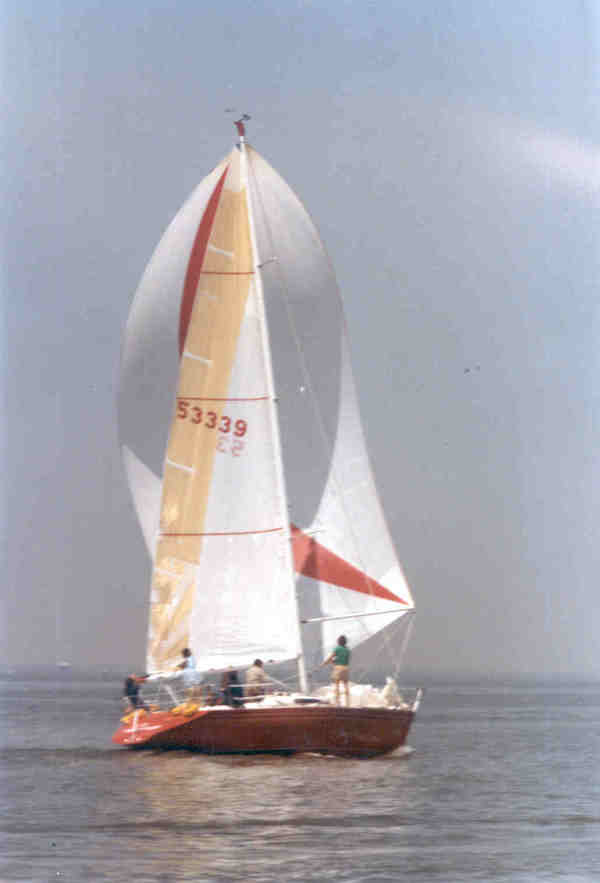 GARRETT 40 GPR MH - Photo