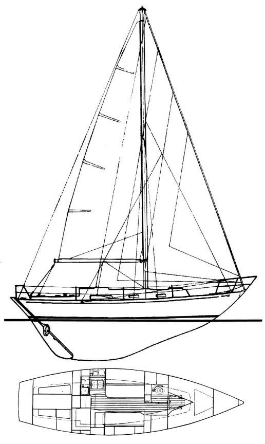 RUSTLER 31 - Drawing