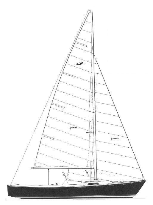 GAZELLE 22 - Drawing