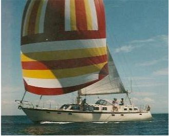MAPLE LEAF 54 - Photo