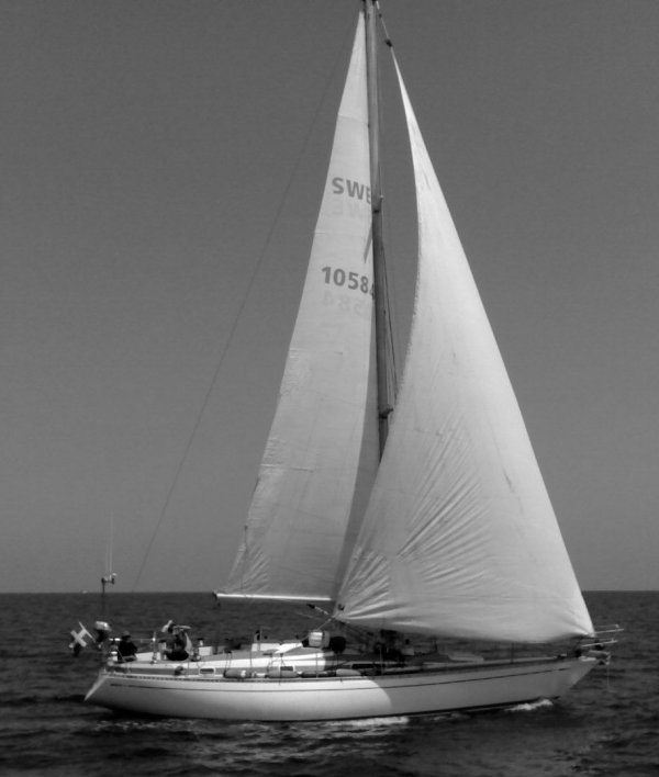 GECCO 39 - Photo