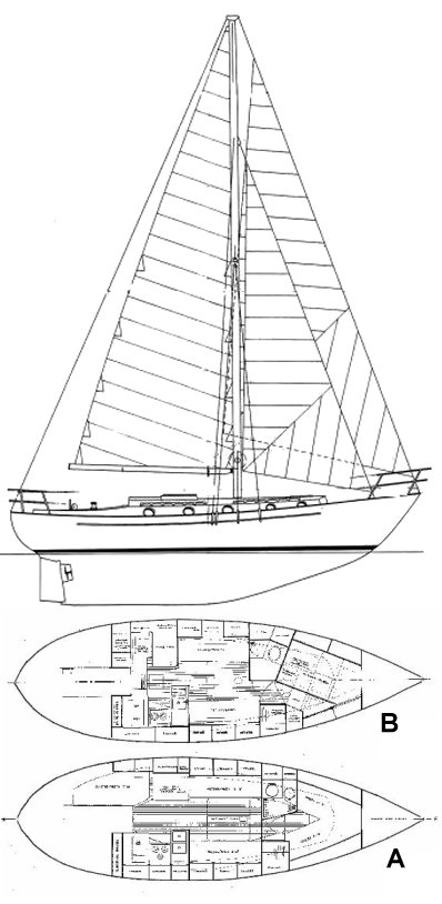 LIBERTY 38 - Drawing