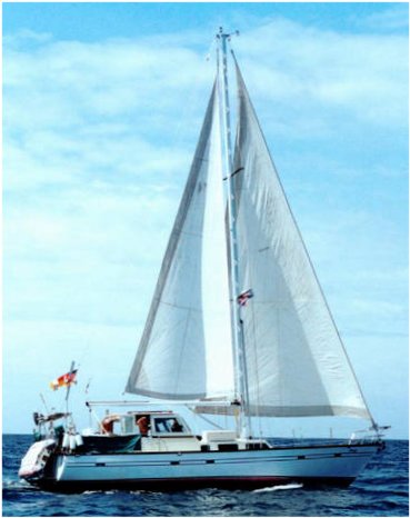 MAPLE LEAF 48 - Photo