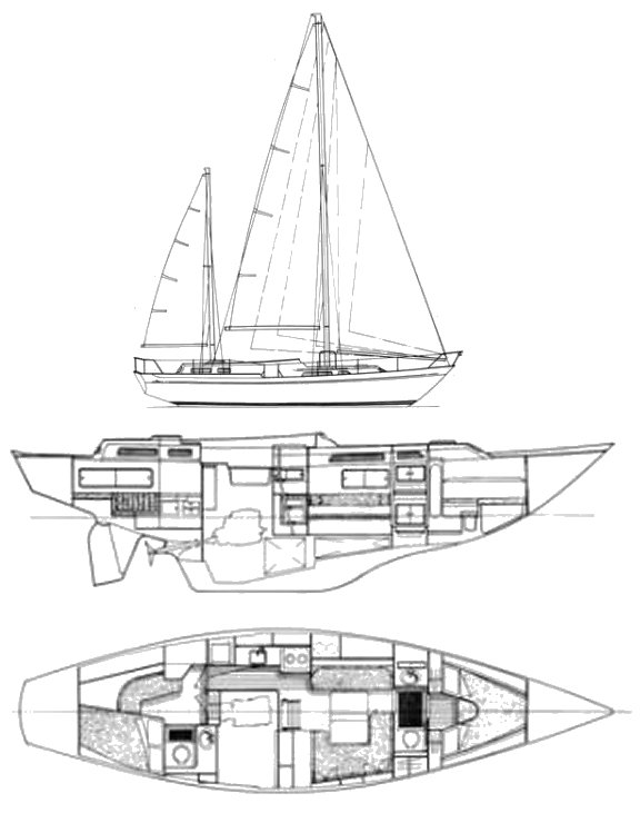 NICHOLSON 44 - Drawing