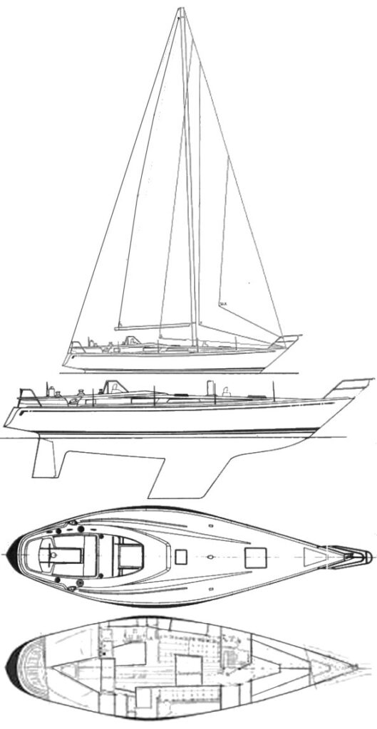 GECCO 39 - Drawing