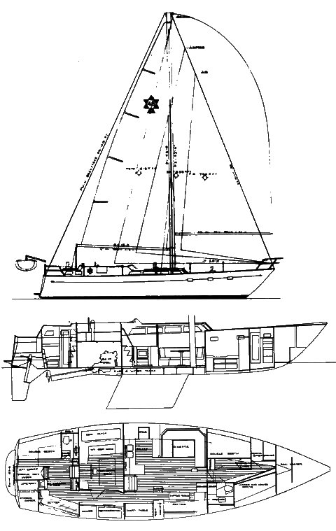 MAPLE LEAF 48 - Drawing