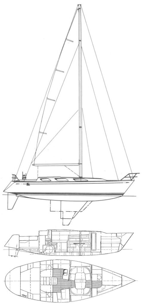 LACOSTE 42 - Drawing