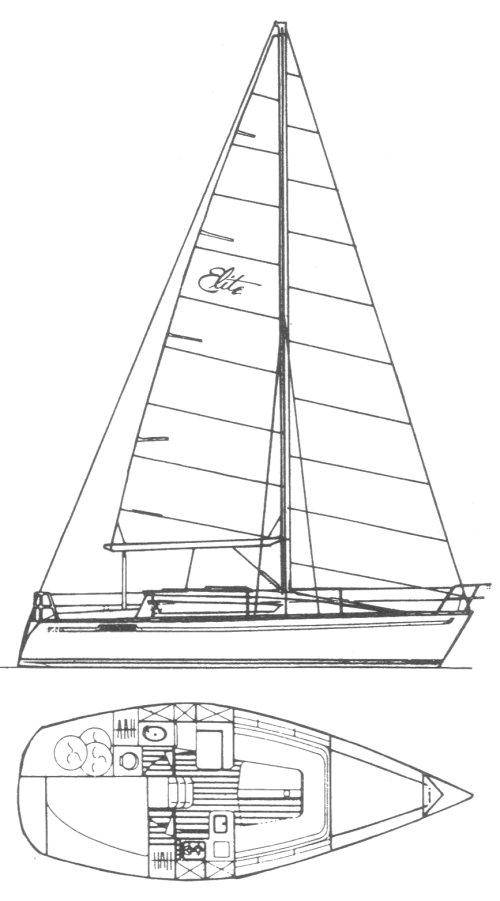 ELITE 29 - Drawing