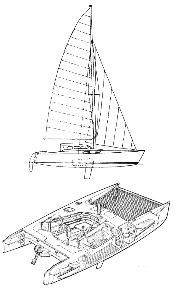 LOUISIANE 37 - Drawing