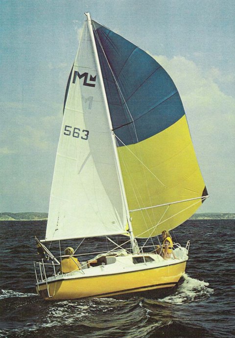 MAGNIFIK MIDGET - Photo