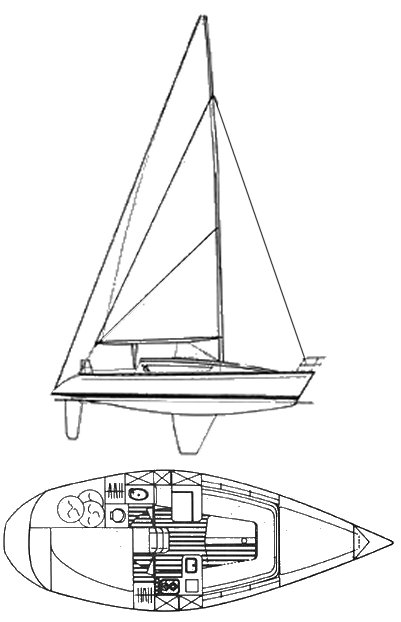 ELITE 30 - Drawing