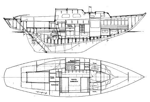 GULLMARSKRYSSSARE - Drawing