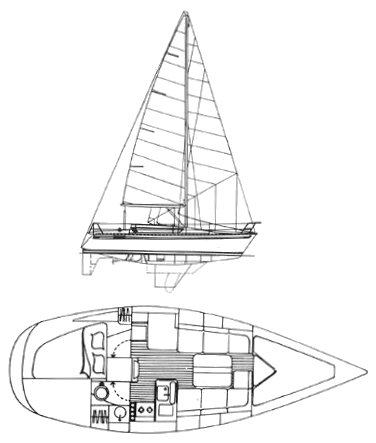 ELITE 32 - Drawing