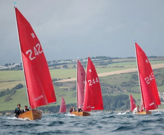 REDWING (NATIONAL REDWING)