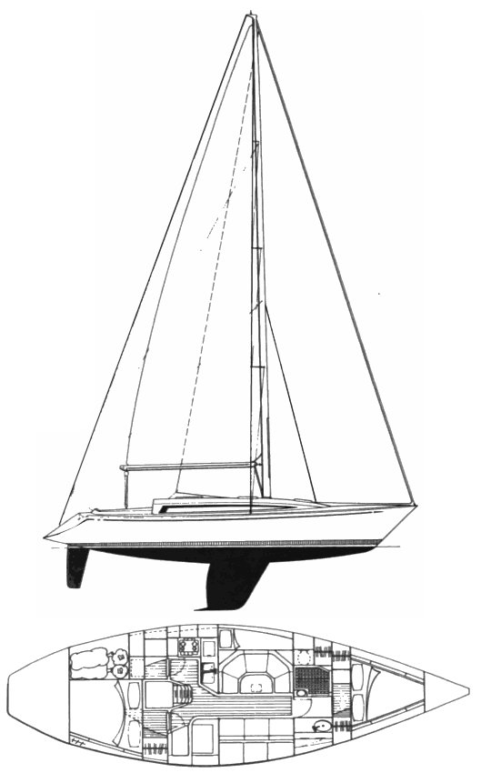 BELLIURE 2.5 - Drawing