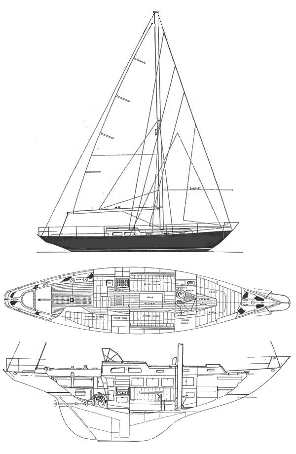 QUEEN 38 (BUCHANAN) - Drawing