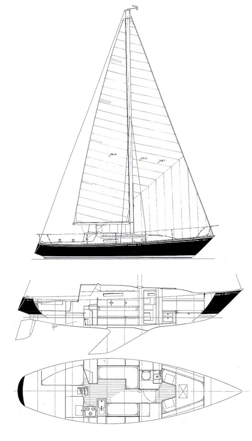 VIKING 33 - Drawing