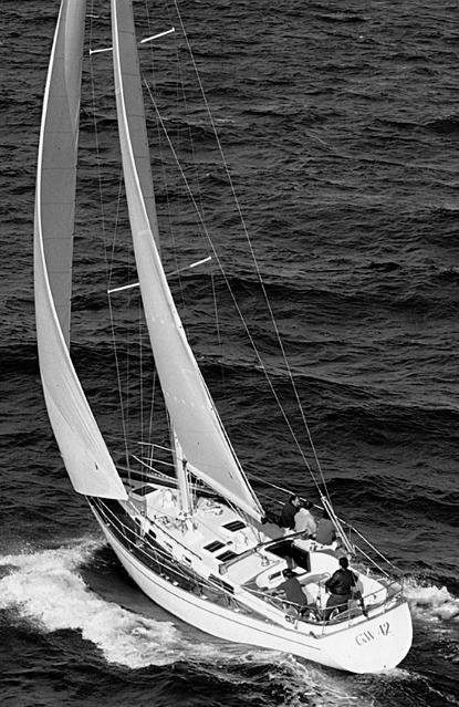 GOLDEN WAVE 42 - Photo