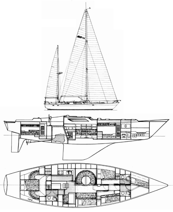 NICHOLSON 58 - Drawing