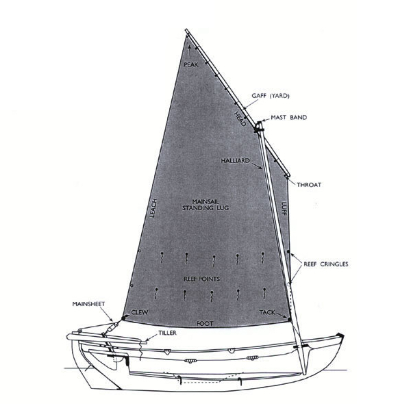 DRASCOMBE SCAFFIE - Drawing