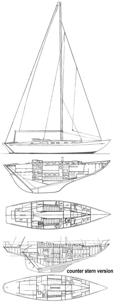 MAÏCA - Drawing