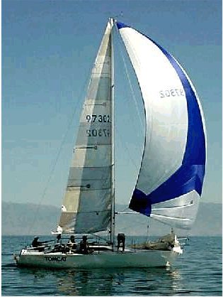 PINNACLE 29 - Photo