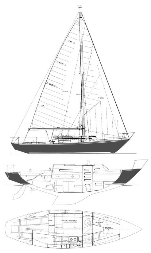 REDWING 30 (C&C) - Drawing