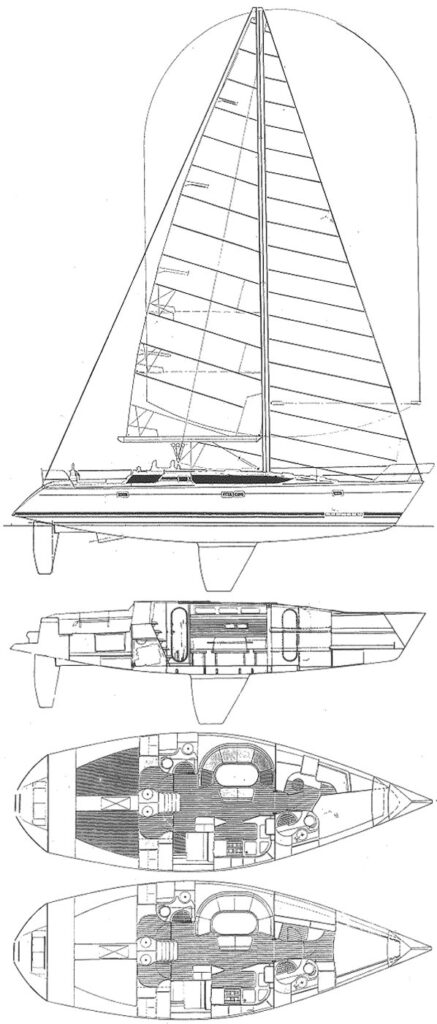 ELITE 446 - Drawing