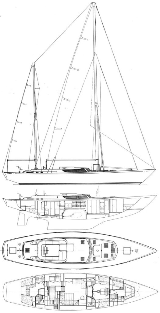 NICHOLSON 70 - Drawing